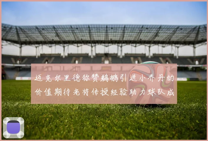 迈克尔里德称赞鹈鹕引进小乔丹的价值期待老将传授经验助力球队成长